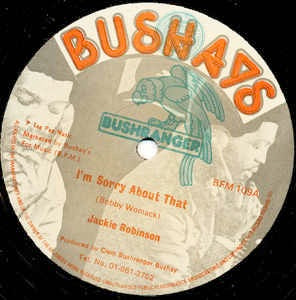Image of Front Cover of 12" - /VG - JACKIE ROBINSON, I'm Sorry About That / Don't Leave Me This Way (Bushays; BFM 109, UK 1976), Strong VG., - 2746281S