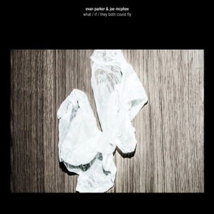 Image of Front Cover of LP - VG+/VG+ - EVAN PARKER AND JOE MCPHEE, What / If / They Both Could Fly (Rune Grammofon; RLP3149, Norway 2013, Picture Sleeve, No CD), , - 2826312E