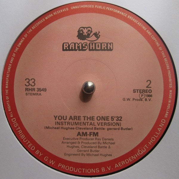 Image of Back Cover of 12" - VG/VG - AM-FM, You Are The One (Rams Horn Records; RHR 3549, Netherlands 1986, Die Cut Company Sleeve), Light marks only, - 4316811C