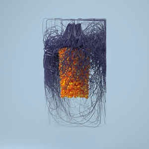 Image of Front Cover of 2xLP - VG+/VG+ - PLAID, Polymer (Warp Records; WARPLP303, UK 2019, Picture Sleeve, 2 Inners), Still In Stickered Shrinkwrap (Opened), - 4326258E