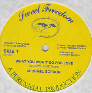 Image of Front Cover of 12" - VG/VG - MICHAEL GORDON, What You Won't Do For Love (Sweet Freedom Records; SFR001, UK 1980s, Company Sleeve), Strong VG to disc., - 2116257C