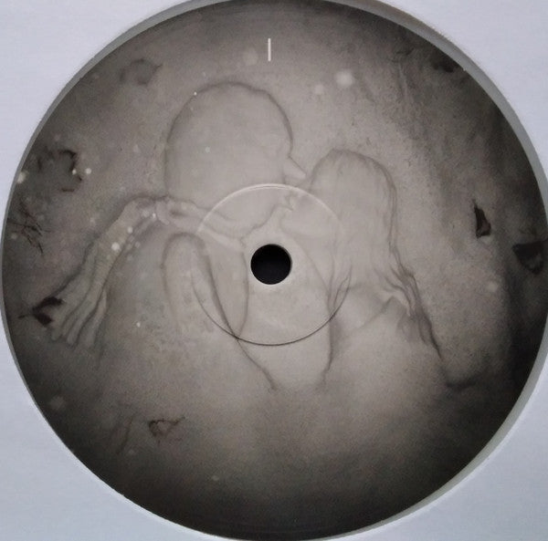 Image of Label Cover of 2xLP - VG+/VG+ - KATE BUSH, 50 Words For Snow (Fish People; 5057998201082, Worldwide 2023 Reissue, Gatefold, Booklet, 180 Gram Snowy White Vinyl, with Obi), , - 1846192S