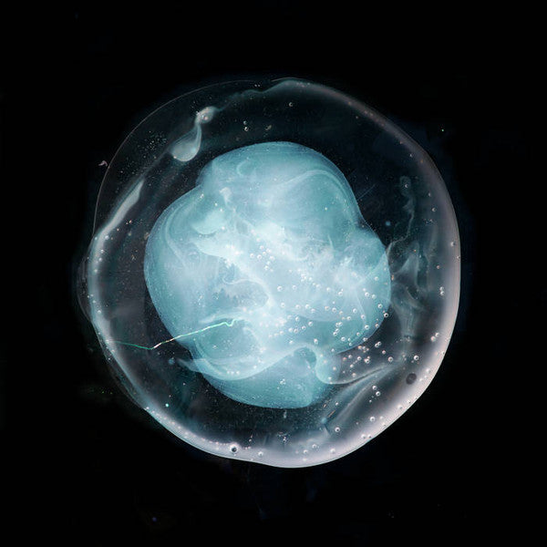 Image of Front Cover of LP - EX/EX - A WINGED VICTORY FOR THE SULLEN, The Undivided Five (Ninja Tune; ZEN255, UK 2019, Gatefold, Black Inner, 180 Gram Vinyl), , - 4326415E