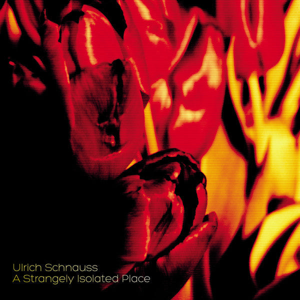 Image of Front Cover of LP - VG+/EX - ULRICH SCHNAUSS, A Strangely Isolated Place (Scripted Realities; SCREAL LPX 002, Europe 2020 Reissue), , - 4226283E