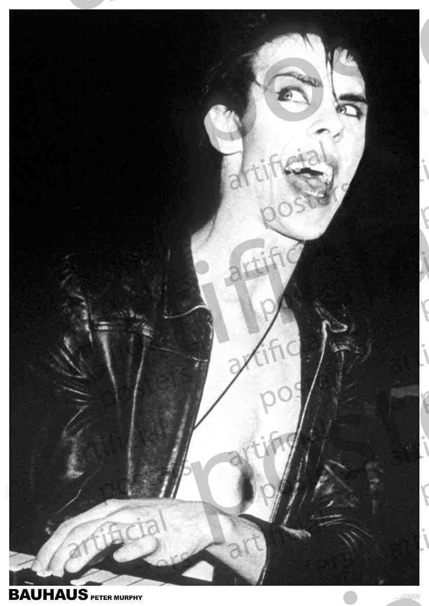 Image of Front Cover of 3914270C: Accessories - BAUHAUS, Poster (84.1cm x 59.4cm; ART286, UK ) NEW/NEW