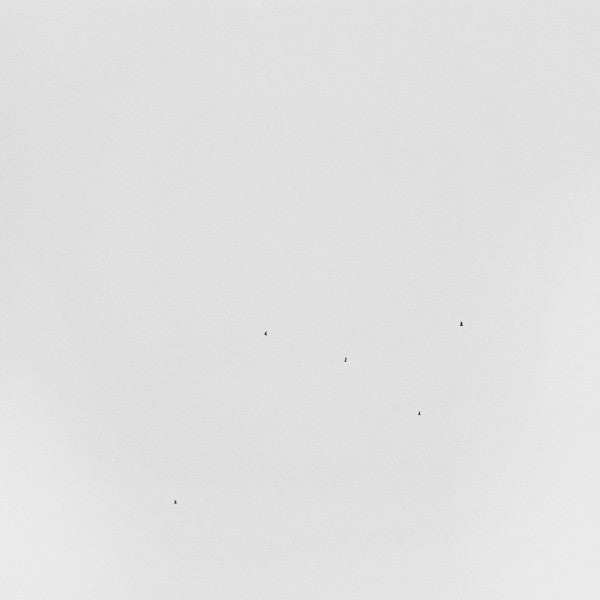 Image of Front Cover of 1015330C: LP - TODD ANDERSON-KUNERT, Conjectures (Room40 ; RM4110, Australia 2019) Still in shrinkwrap. VG+/EX