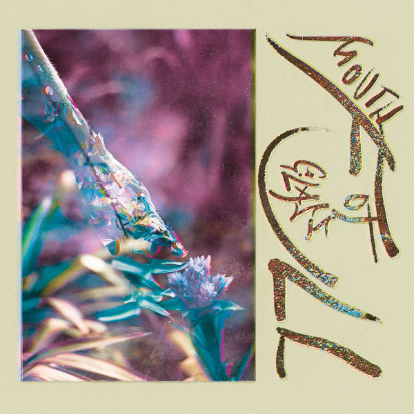 Image of Front Cover of 1725142E: LP - MACIE STEWART, Mouth Full Of Glass (Orindal Records ; ORD61, US 2021, Insert, Clear Vinyl) Stickered Plastic Outer Sleeve EX/EX