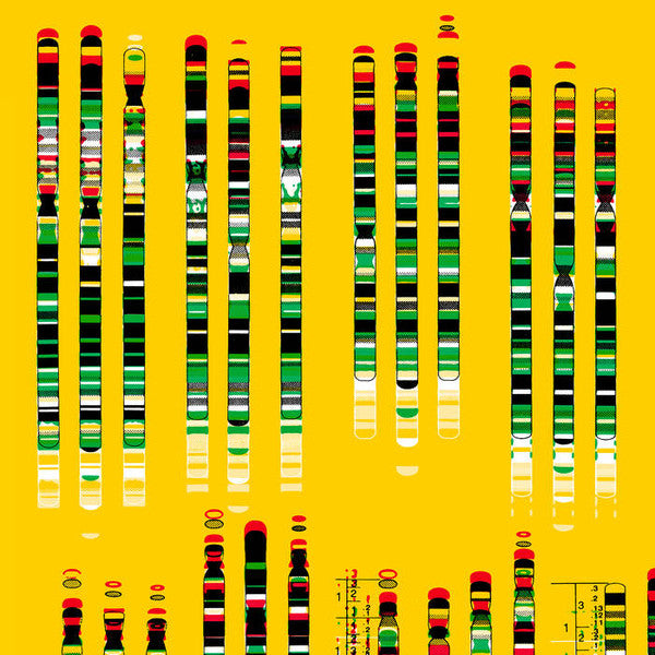 Image of Front Cover of 10" - EX/EX - LAMIN FOFANA, It s Only A Matter Of Acceleration Now (The Trilogy Tapes; TTT10001, UK 2023), looks unplayed., - 2225088E