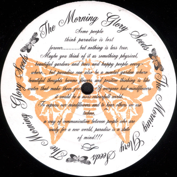 Image of Back Cover of 2725283E: 12" - THE MORNING GLORY SEEDS, Butterflies (Djax-Up-Beats; DJAX-UP-157, Netherlands 1992, Plain Sleeve) /VG