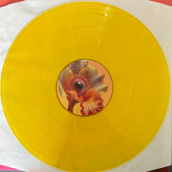 Image of Label Cover of 2xLP - EX/VG+ - SHYGIRL, Fabric Presents Shygirl (Fabric; fabric219LP, UK 2024, Yellow Translucent Vinyl, Digital Download Card), Shrink wrap. Very slight storage mark on B2, otherwise perfect condition., - 2915088C