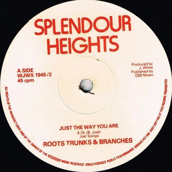 Image of Front Cover of 12" - /VG - ROOTS TRUNKS & BRANCHES, Just The Way You Are / Chicken Disco Dub (Splendour Heights; WJWX 1945/2, UK 1978), Superficial marks., - 4825109E