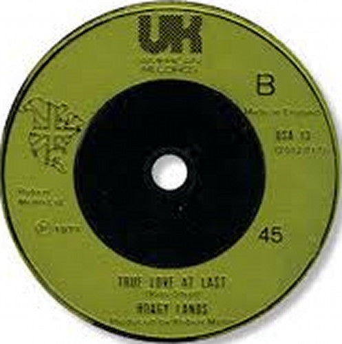 Image of Back Cover of 4955229S: 7" - HOAGY LANDS, Friends And Lovers Don't Go Together / True Love At Last (UK American Records; USA 13, UK 1976) /VG+