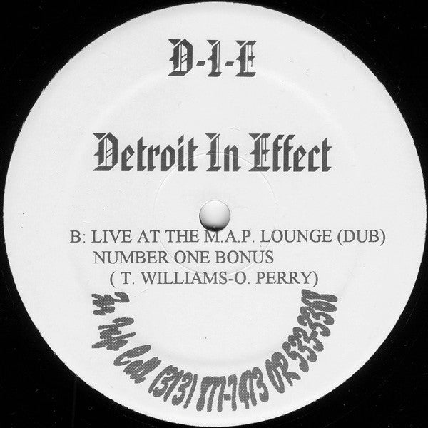 Image of Back Cover of 12" - /VG - D-I-E, Detroit In Effect (M.A.P. Records; AR-10089, US 1995, Plain Sleeve), Hariline marks only, plays VG+, - 4346031S