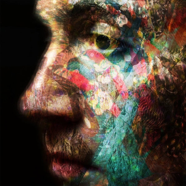 Image of Front Cover of 2xLP - VG+/VG+ - DANIEL O'SULLIVAN, VELD (O Genesis; OGen54, UK 2017, Gatefold), , - 1026116E