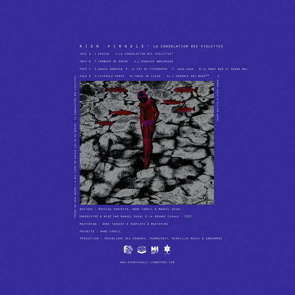 Image of Back Cover of 2xLP - VG+/VG+ - RIEN VIRGULE, La Consolation Des Violettes (La R publique Des Granges; lrdg#028, France 2021, Gatefold), , - 1246193S