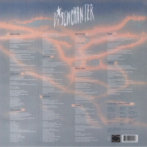 Image of Back Cover of LP - VG+/EX - ALASKA REID, Disenchanter (Luminelle Recordings ; LUM034, US 2023), , - 1326138E