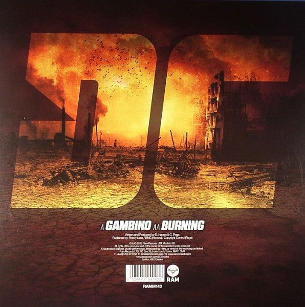 Image of Back Cover of 12" - VG/VG - DC BREAKS, Gambino / Burning (RAM Records; RAMM143, UK 2013, Picture Sleeve), , - 1326272E