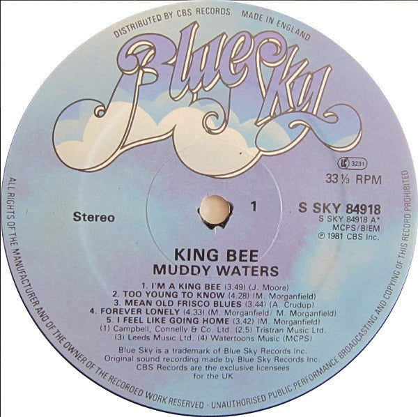 Image of Label Cover of LP - VG+/VG+ - MUDDY WATERS, King Bee (Blue Sky; SKY 84918, UK 1981, Glossy Sleeve, No Insert), Very clean copy but sadly no insert., - 1416018C