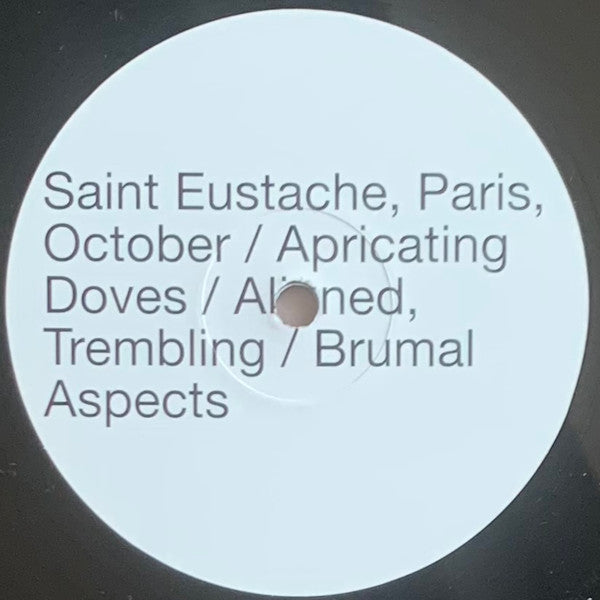 Image of Label Cover of LP - EX/EX - MARJA AHTI & JUDITH HAMANN, A Coincidence Is Perfect, Intimate Attunement (Second Editions; 011, Germany 2022), , - 1446129S