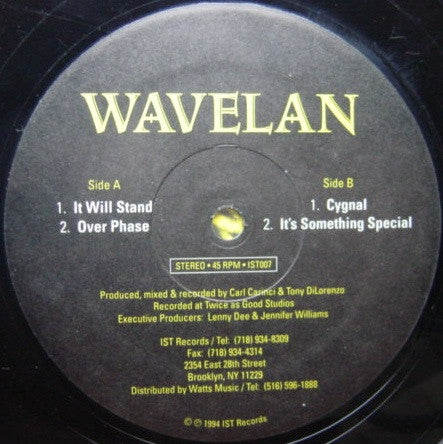 Image of Front Cover of 12" - VG/G+ - WAVELAN, It Will Stand (IST Records; IST007, US 1994, Die Cut Company Sleeve), Lots of marks on either side of record, - 1646057S
