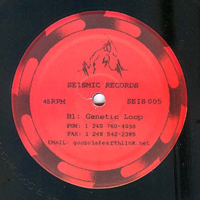 Image of Back Cover of 12" - /VG - COZMIC SPORE, Vector E.P. (Seismic Records Detroit; SEIS 005, US 1999, Plain Sleeve), , - 1626011E