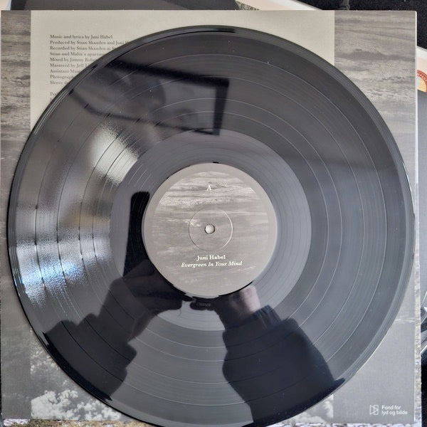 Image of Label Cover of LP - NEW/NEW - JUNI HABEL, Evergreen In Your Mind (Basin Rocks; BR025LP, UK 2026), , A beautifully intimate folk-pop album built around delicate songwriting, warm analogue textures and understated arrangements. Ideal for customers who gravitate towards thoughtful, emotionally resonant records with long shelf life and strong word-of-mouth potential. - 2156040S