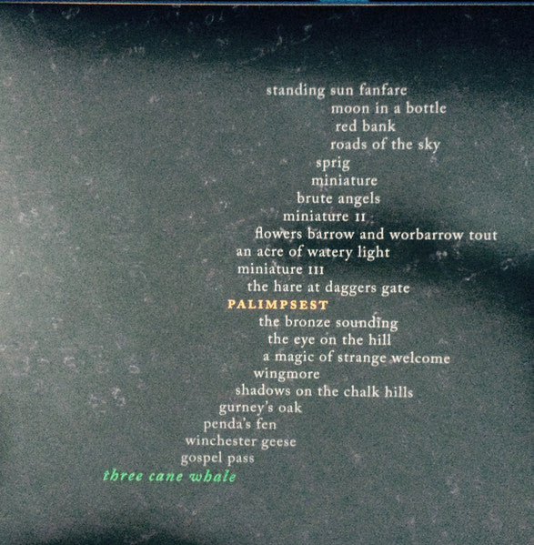 Image of Front Cover of LP - VG/VG+ - THREE CANE WHALE, Palimpsest (Plane Groovy; PLG045, UK 2017, Insert, Produced by Adrian Utley of Portishead), small tear lower front cover, - 1846276S