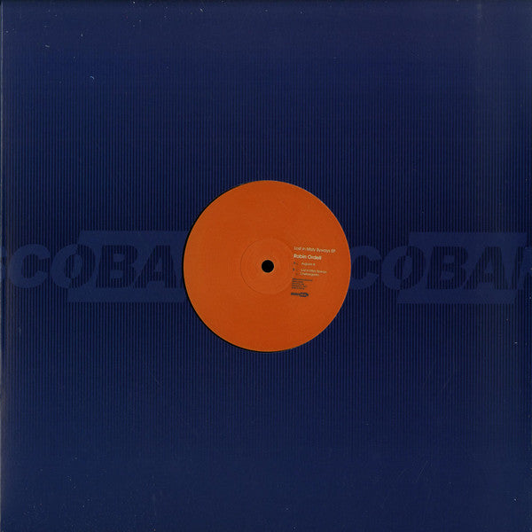 Image of Front Cover of 12" - VG+/VG+ - ROBIN ORDELL, Lost In Misty Byways EP (Discobar; Discobar 07, France 2017, Company Sleeve), , - 2226303E