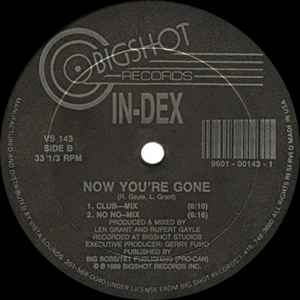 Image of Back Cover of 12" - /VG+ - IN-DEX, Now You're Gone (Bigshot Records; VS 143, USA & Canada 1989), , - 2346036S