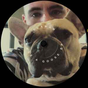 Image of Label Cover of 12" - VG+/VG+ - BLAWAN, Make A Goose EP (Ternesc ; TESC 008, UK 2021, Picture Sleeve), , - 2346050S