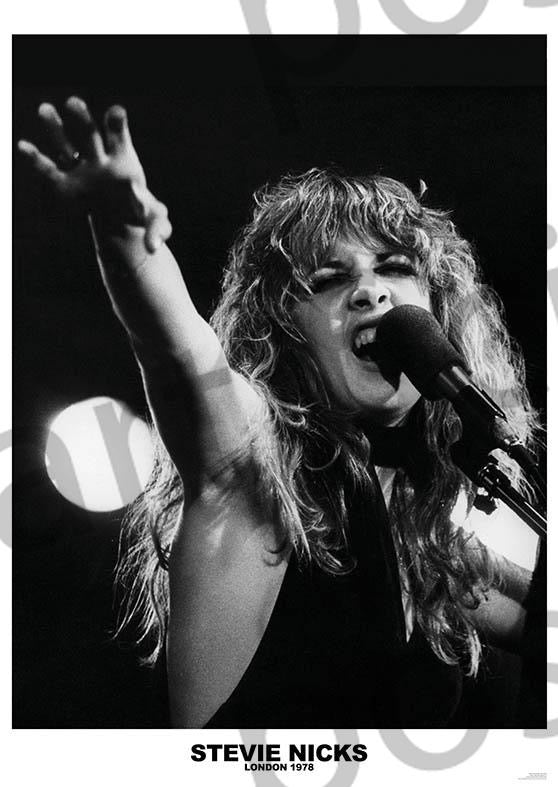 Image of Front Cover of Accessories - NEW/NEW - STEVIE NICKS, Poster (84.1cm x 59.4cm; ART321, UK ), , - 2916175C