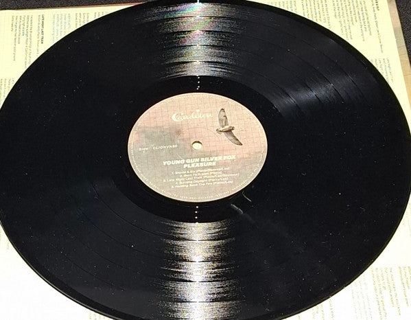 Image of Label Cover of LP - VG+/VG - YOUNG GUN SILVER FOX, Pleasure (Candelion; CLIONVN60, UK 2025), , - 3326029E