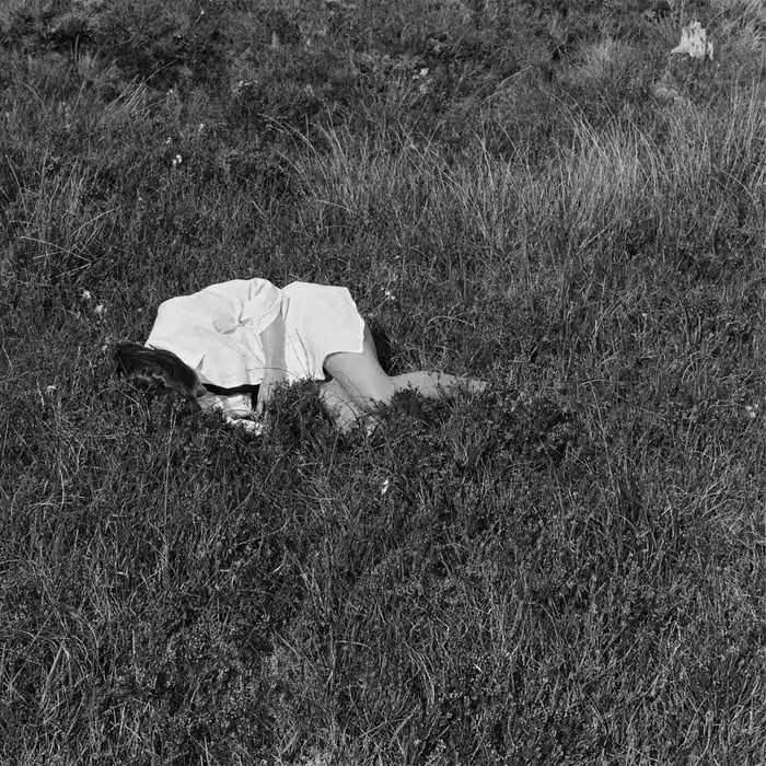 Image of Front Cover of LP - NEW/NEW - NINA WINDER-LIND, Wild Love (Transgressive; TRANS965X, Europe 2026, Signed Postcard), , The debut album from Nina Winder-Lind from The New Eves. - 3616338C