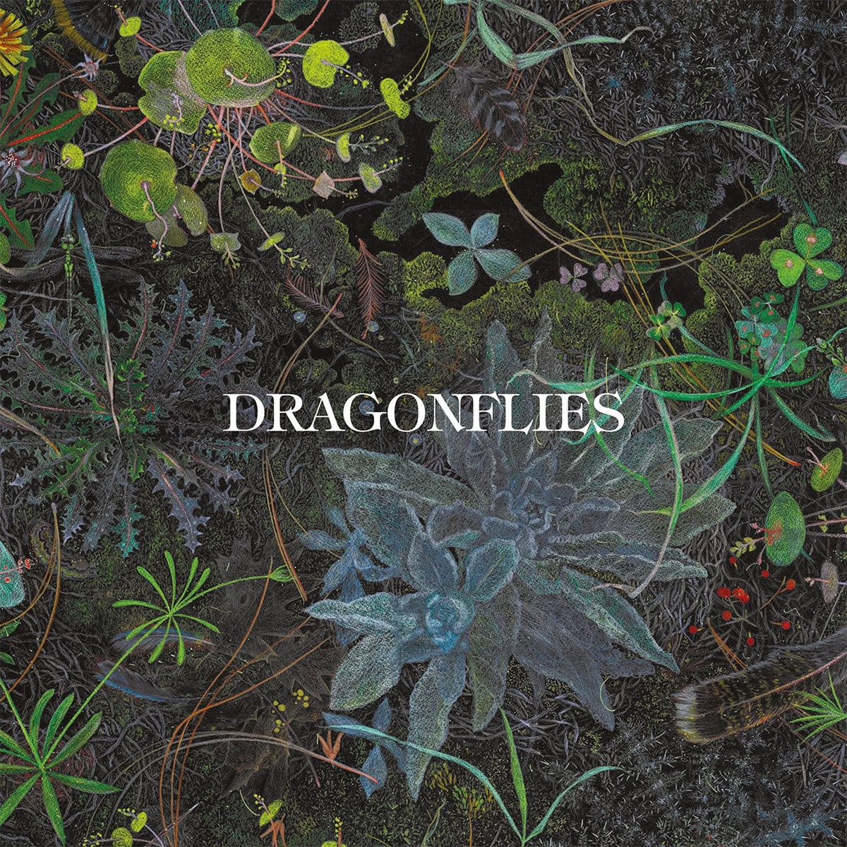 Image of Front Cover of LP - NEW/NEW - DRAGONFLIES, Dragonflies (Dark Horse Records; 964273041, Europe 2026, Gatefold, Inner, Coke Bottle Clear Vinyl), , - 3916187C