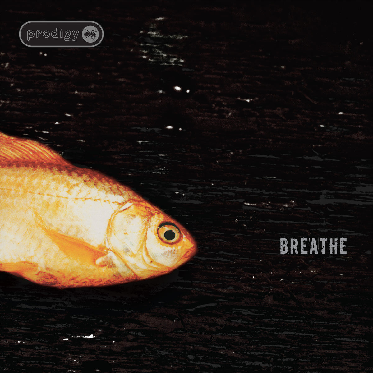Image of Front Cover of 12" - NEW/NEW - PRODIGY, Breathe (30th Anniversary) (XL; XL1670T, Europe 2026 Reissue, Picture Sleeve), , The Prodigy’s seminal track Breathe turns 30 this year. This new 12” vinyl package titled Breathe - x30 houses the original with remixes by The Glitch Mob, and Mefjus & Camo & Krooked, for the first time. - 9416487C