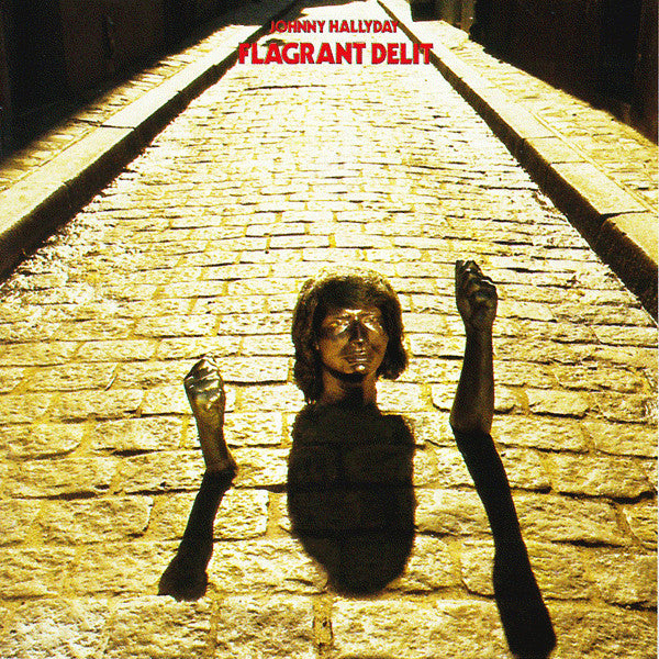Image of Front Cover of CD - VG+/VG - JOHNNY HALLYDAY, Flagrant D lit (Mercury France; 546 954-2, France 2010, Digipak, Booklet), , - 4036006E