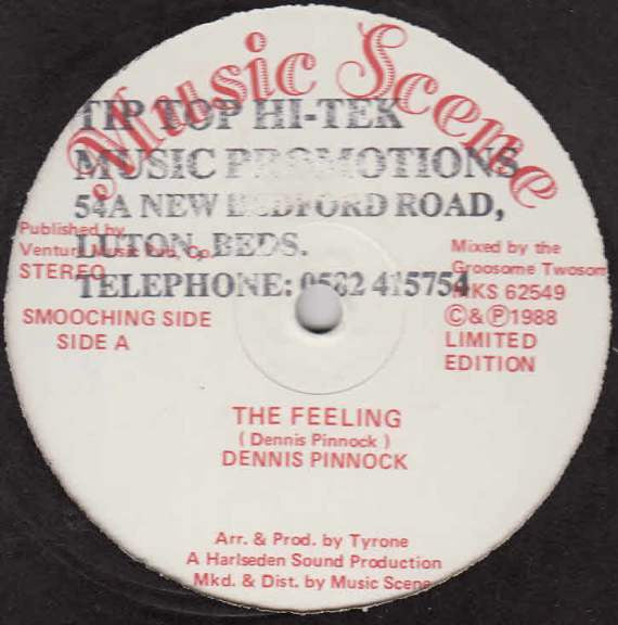 Image of Front Cover of 12" - /VG - DENNIS PINNOCK / ELEMENTS, The Feeling / Keeping A Watch Over You (Music Scene; MKS 62549, UK 1988), One mark on A side. Doesn't affect play., - 4126305E