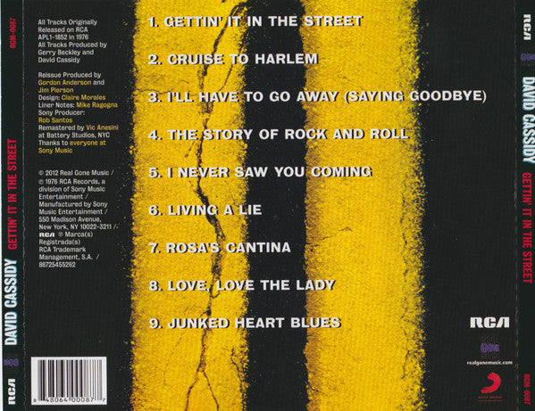Image of Back Cover of CD - VG+/VG+ - DAVID CASSIDY, Gettin' It in The Street (Real Gone Music; RGM-0087, US 2012, Jewel Case), , - 4136209E