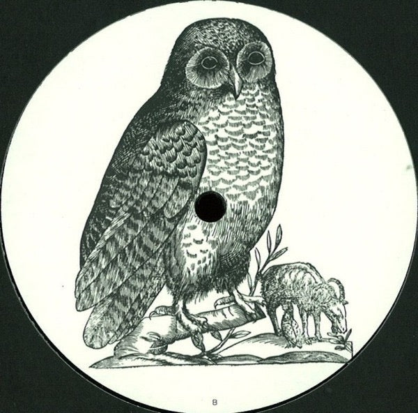 Image of Back Cover of 12" - /VG - UNKNOWN ARTIST, Untitled (Owl; OWL001, Germany 2012, Unofficial Release), , - 4216188C