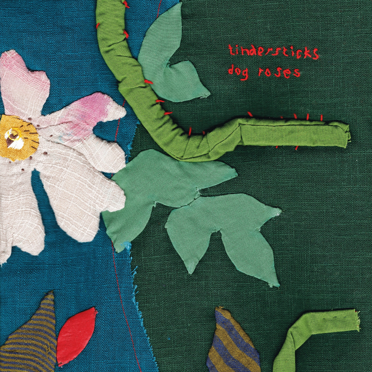 Image of Front Cover of CD - NEW - TINDERSTICKS, Dog Roses (City Slang; SLANG50630, UK 2027), , "Tindersticks' new album continues a run of critically loved records, blending chamber pop, lounge jazz and soul into something cinematic and deeply atmospheric. This is late-night, lights-down listening from a band still operating at the height of its powers. - 9420800C