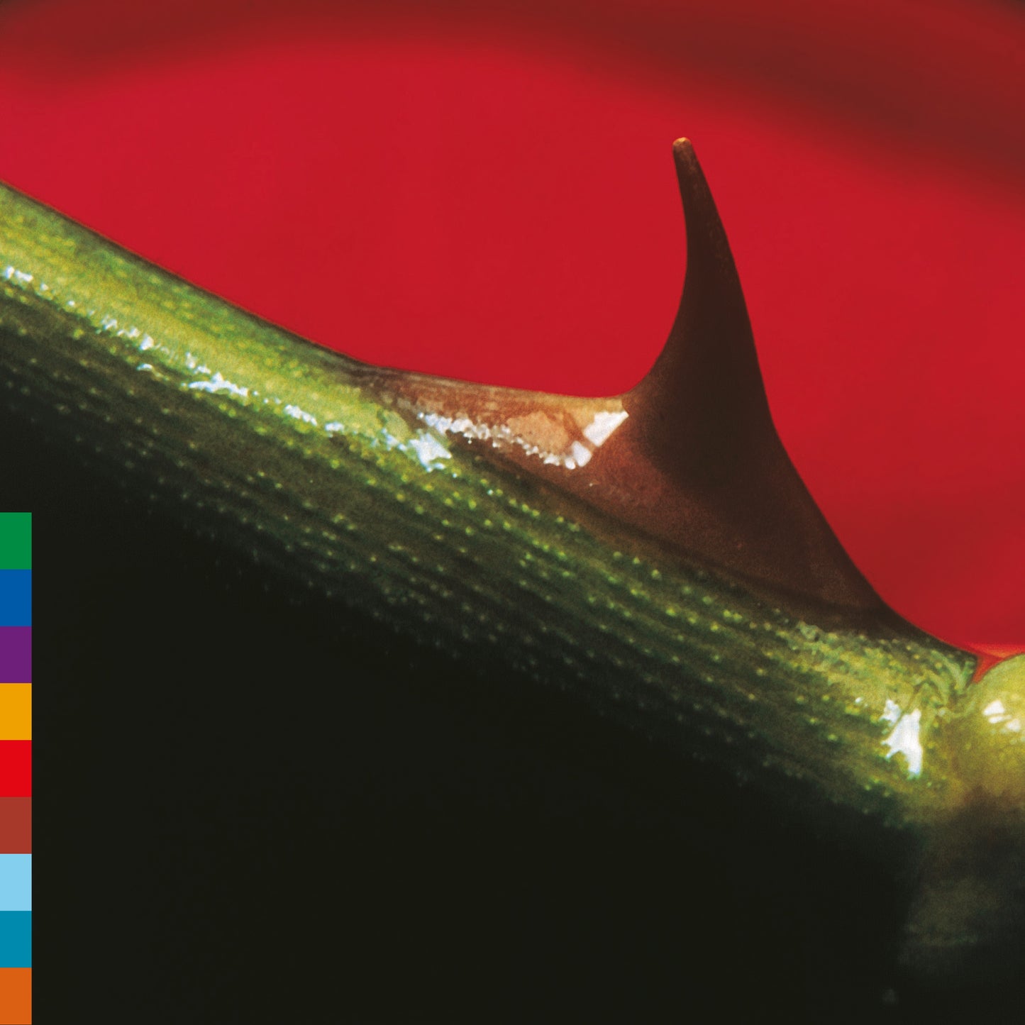NUSRAT FATEH ALI KHAN & MICHAEL BROOK, Night Song - 30th Anniversary Edition (Real World Records; LPRW50X, Europe Reissue, Rose Leaf Green Vinyl) LP NEW/NEW - PRE-ORDER