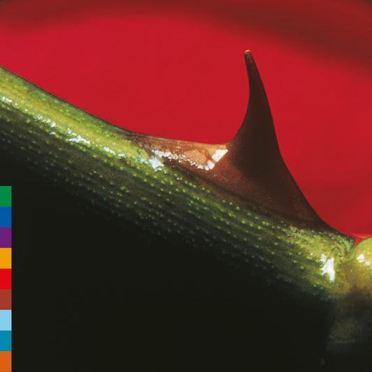 NUSRAT FATEH ALI KHAN & MICHAEL BROOK, Night Song - 30th Anniversary Edition (Real World Records; LPRW50X, Europe Reissue, Rose Leaf Green Vinyl) LP NEW/NEW - PRE-ORDER