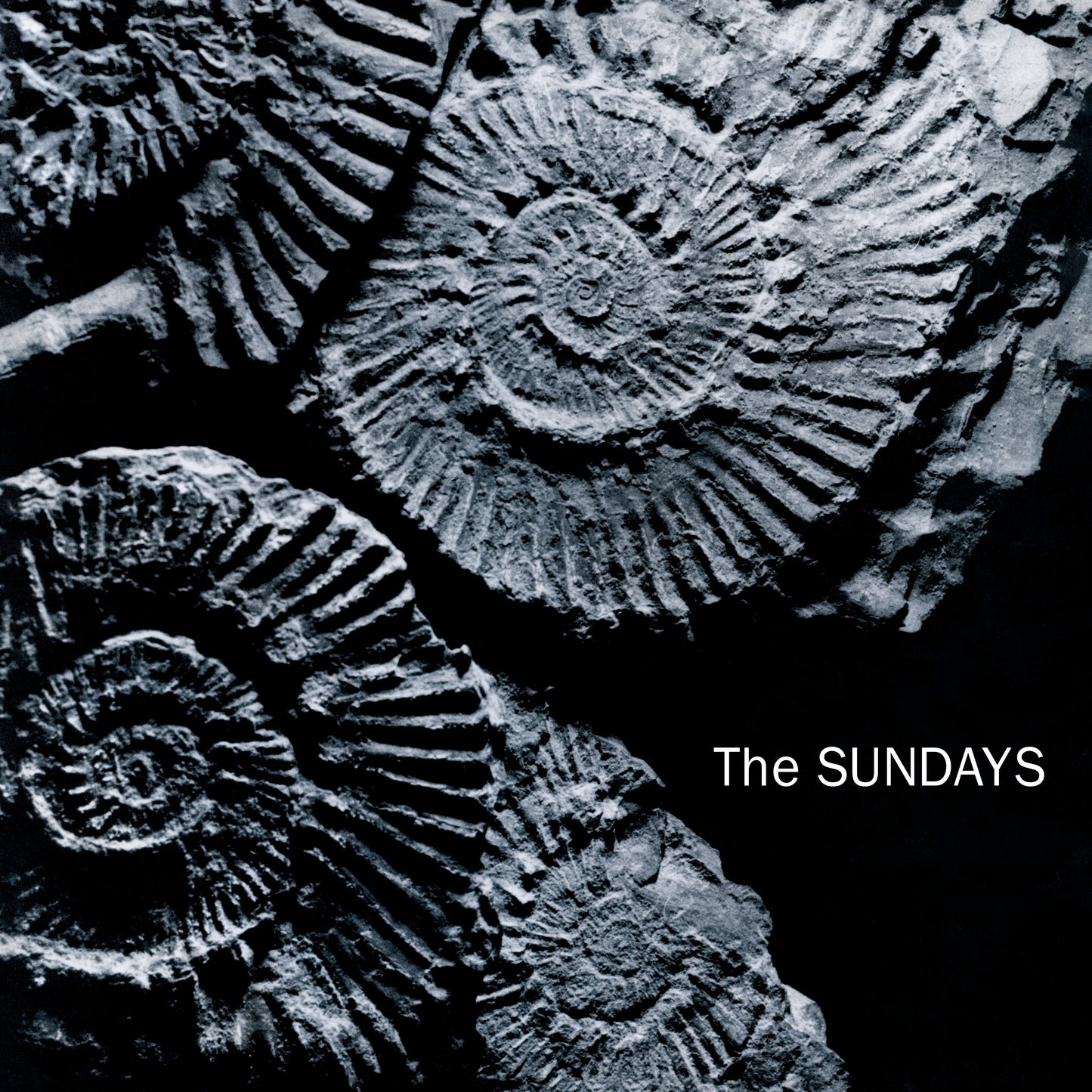 THE SUNDAYS, Reading Writing And Arithmetic (Parlophone; , UK 2026 Reissue, 140g Black Vinyl) LP NEW/NEW - PRE-ORDER