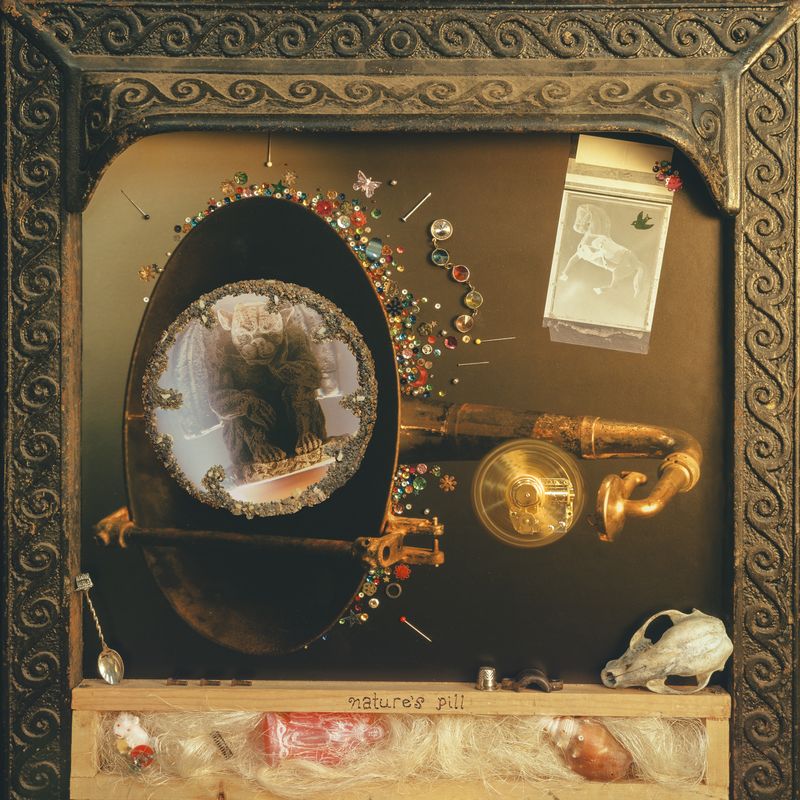 WISHY, Nature's Pill (; WSP080LP-C1, UK 2026, Indie Exclusive Devil's Blush Pink Vinyl) LP NEW/NEW - PRE-ORDER