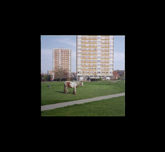 WESTSIDE COWBOY, It Goes On (Island; 5795204, UK 2026, Inner, Indies Exclusive, Red Vinyl) LP NEW/NEW - PRE-ORDER