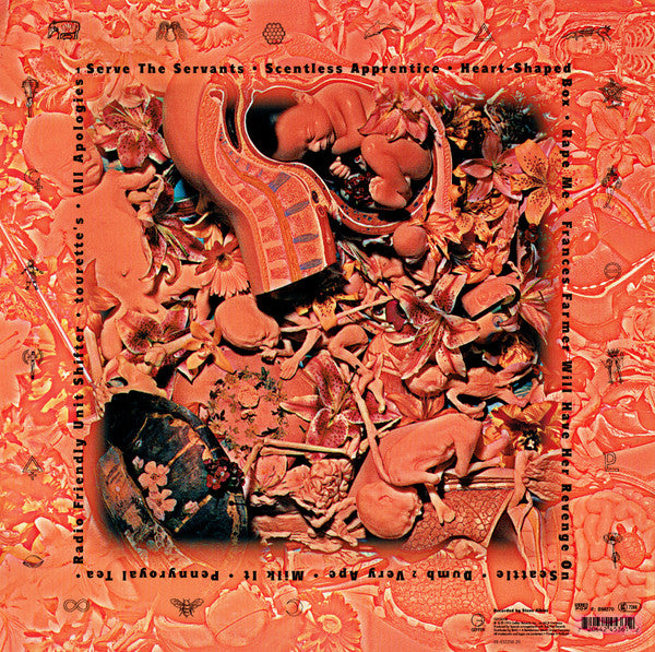 Image of Back Cover of LP - G+/VG+ - NIRVANA, In Utero (Geffen; GEF24536, Europe 1993, Inner, 1st Pressing), Small top seam split, slight moisture damage along loading side with small creases and tears. Lovely disc, only a couple small unfeelable marks on side 1.,  - 0846065S