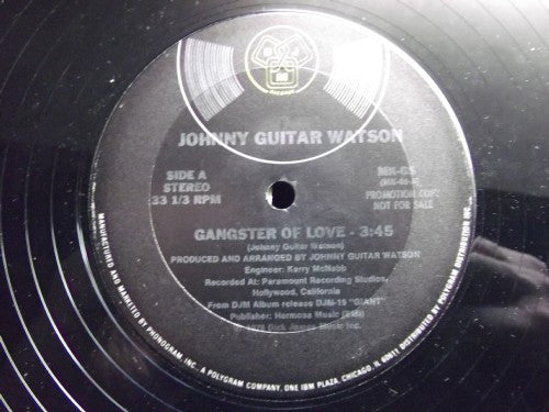 Image of Label Cover of 12" - VG/VG+ - JOHNNY GUITAR WATSON, Gangster Of Love (DJM Records; MK-65, US 1978, Promo, Picture Sleeve), ,  - 2146322S