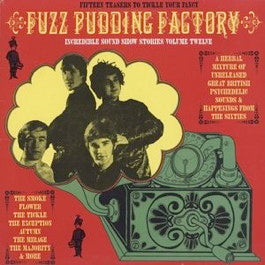 Image of Front Cover of 3914196C: LP - VARIOUS, Fuzz Pudding Factory, Incredible Sound Show Stories Volume Twelve (Dig The Fuzz; , UK 2001, Inner)   VG+/VG+