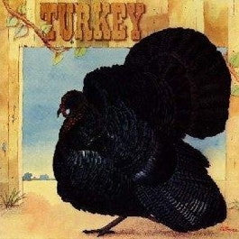 Image of Front Cover of 3915352C: LP - WILD TURKEY, Turkey (Chrysalis; CHR-1010, UK 1972, Gatefold) Strong VG  VG/VG