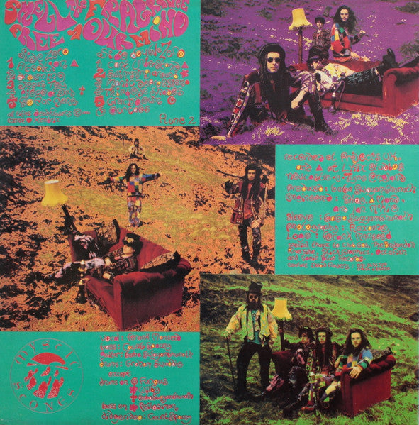 Image of Back Cover of LP - VG/VG - DEAD FLOWERS, Smell The Fragrance (Mystic Stones; LP RUNE 2, UK 1991), Light hairlines and little bit of mottling, Edge wear to sleeve,  - 2016102C